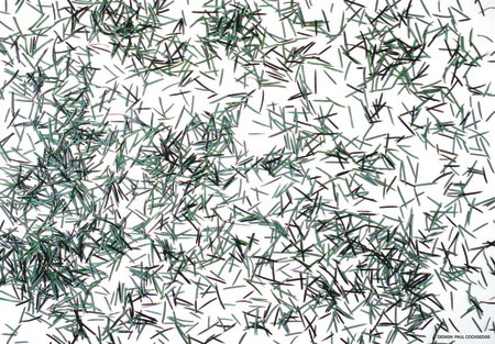 <span class="artist"><strong>Paul Cocksedge</strong></span>, <span class="title"><em>Needles Wrapping Paper</em>, 2019</span>