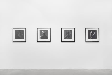 Robert Mapplethorpe | Galerie Thomas Schulte Robert Mapplethorpe | Galerie Thomas Schulte