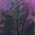 Elizabeth Magill