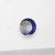 Anish Kapoor