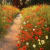 Romona Youngquist