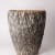 Sarah Purvey