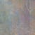 Caroline Petrick Ngwarreye
