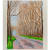 David Hockney
