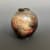 David Pointer