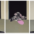 FRANCIS BACON
