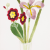 Mary Fedden
