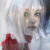 Christine Comyn