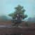 Peter Hoffer