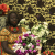 Atong Atem