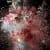 Ori Gersht