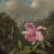Martin Johnson Heade