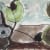 Arthur Dove