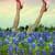 In a field of bluebonnets, two legs with red heeled pumps jut out from the flowers on background of sunset sky.