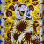 Alia Ali: Cartographies of Pattern