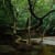 Caio Reisewitz
