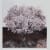 Marie Cloquet 