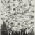 Ink on paper artwork by Alymamah Rashed featuring swirling clouds filled with eyes above a forest, evoking an atmosphere of mystery and surrealism.