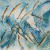 Catherine Forshall