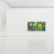 Petra Cortright
