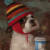 dog holding a coffee cup wearing a multicolor striped beanie