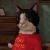 Alison Friend painting of a cat holding a pipe and wearing a red tshirt
