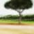 Vilamoura 1 by Jacob Gils at fine photo art gallery In The Pink in Loulé