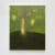 Guy Van Bossche