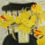 Mary Fedden