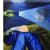 Will Fice