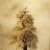 Robert Pereira Hind