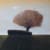 Tom Mabon 