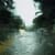 Gregory Thielker painting titled "Chasing Shadows" of rain water falling down a windshield. The perspective is looking through a windshield with a tree lined road ahead.