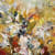painting of spring flowers
