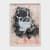 Sigmar Polke