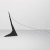 Calder: Extreme Cantilever