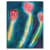 Loren Erdrich