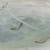 Winifred Nicholson