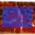 Howard Hodgkin