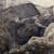 Offerings: The War Series | قَرابِين | In collaboration with Ayyam Gallery