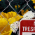 Francisco Diaz Scotto detail of painting of yellow flowers behind chain link fence - foreground has red sign 'no trespassing' which is cropped