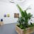Installation image of main gallery in the LUSH exhibition