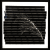 Cathy Rogers, Miscanthus, 2022 Photogram, black and white 16mm film, LED light panel, 30 x 30 cm 11 13/16 x 11 13/16 in