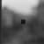 Bernard Plossu
