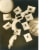 Man Ray