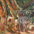Chaïm Soutine and British Painting