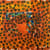 Howard Hodgkin
