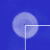 RSA New Contemporaries 2025