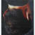 David Moy