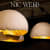 Nic Webb